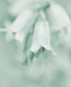 Pastel Green Abstract Flowers