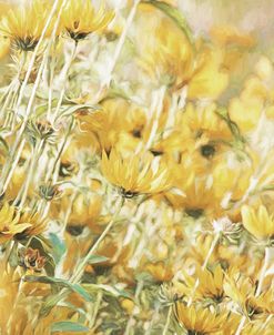 Summer Golden Yellow Flowers