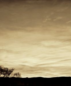 Landscape Trees Silhouette Beige