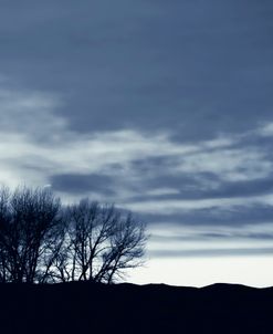 Landscape Trees Silhouette Blue 1