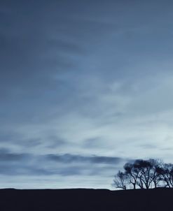 Landscape Trees Silhouette Blue 2