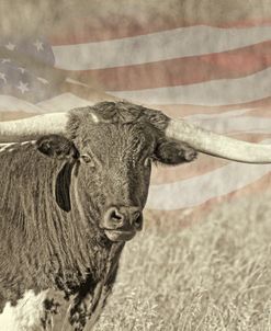 Texas Longhorn Bull American Flag