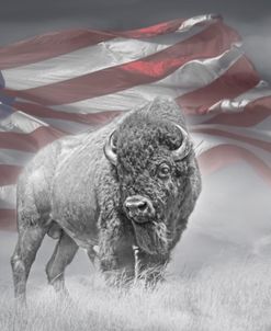 American Buffalo USA Flag