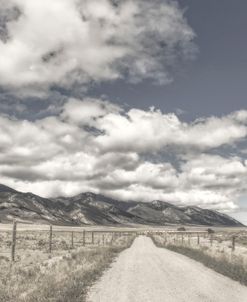 Country Road Montana