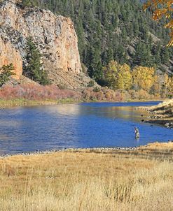 Fly Fisherman Autumn River