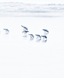 Beach Birds Minimalism Blue