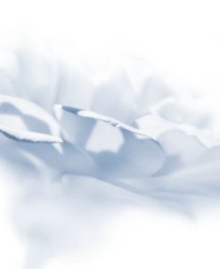 Blue And White Flower Minimalism