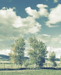 Green Landscape Trees Clouds