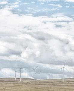 Wind Machines Landscape