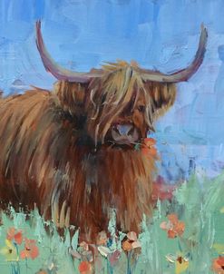 Scottish Highland Cow