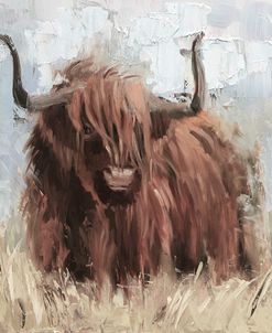 Scottish Highland Bull B