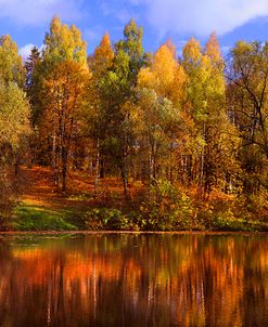 Autumn Reflections