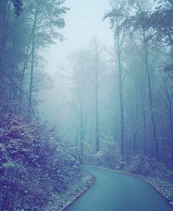 Blue Woods Misty Way