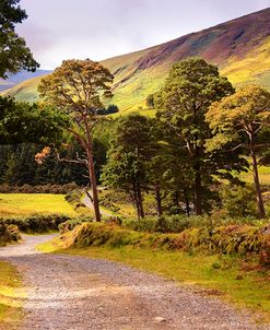 Celtic Spirit in Wicklow Mountains Ireland