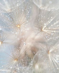 Ethereal Lightness