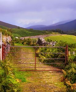 Gates on the Road at Wicklow Hills Ireland