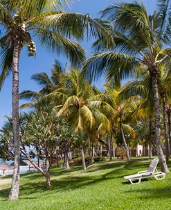 Tropical Beach in Mauritius