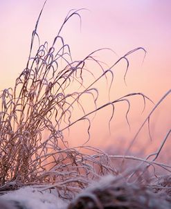 Magic Winter Moments 3