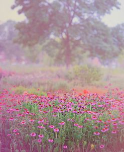 Monet Spring