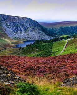 Multicolored Carpet of Wicklow Hills