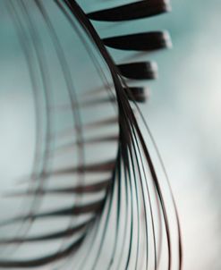 Shadow Twist