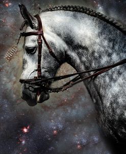 The Horse Among the Stars