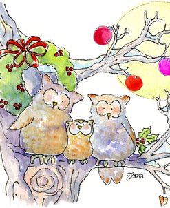 75C – Owl Family