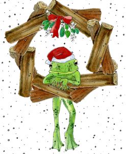 76C – Santa Frog