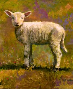 Leap Year Lamb