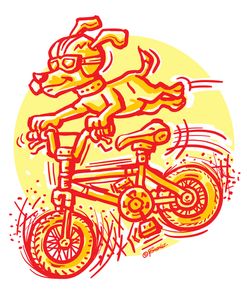 The Mutt Biker