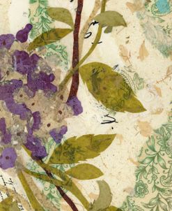 Hydrangeas for Mother