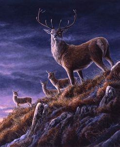 JP114 Threatening Sky Red Deer