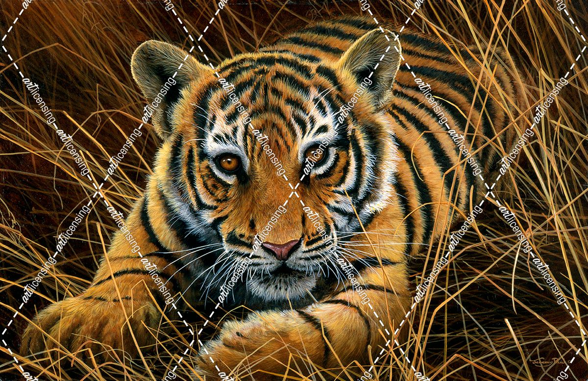JP248 Tiger Cub