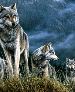 0176 Wolves