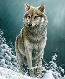 0982 Wolf On The Ridge