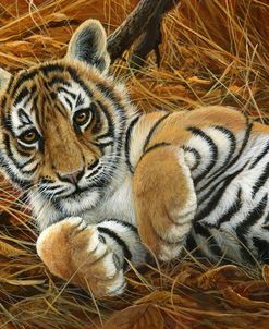 1012 Tiger Cub