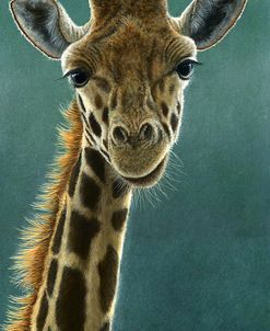 1031 Giraffe Beauty