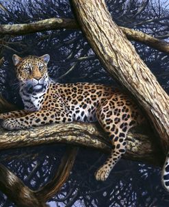 129 Leopard