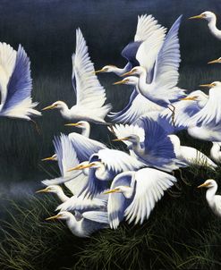 218 Flight Of Egrets
