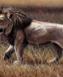 225 Lion Domain