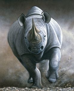 333 Time To Move – Black Rhino