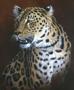 307 Leopard