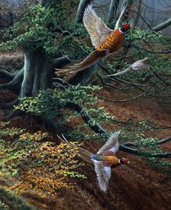 318 Pheasants