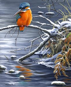 605 Winter Fishing – Kingfisher