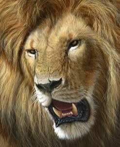963 Return Of The King – Lion