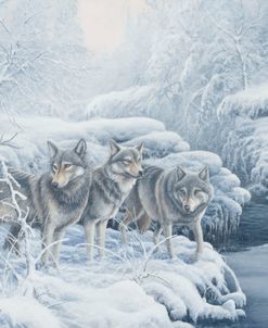 695 At The Edge – Wolves