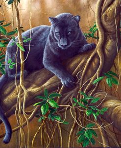 784 Black Panther