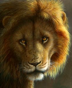 1208 Masai Lion