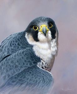 1351 Peregrine