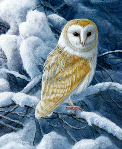 1173 Barn Owl